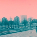 IMG_1011v_chuj_wie