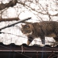 IMG_8180
