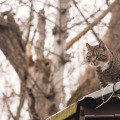 IMG_8182