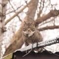 IMG_8183