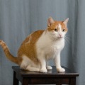 IMG_9959