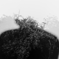 003329080013