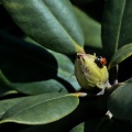 IMGP7601_01
