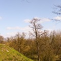IMG_0185