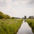 IMG_0947