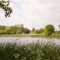 IMG_0975