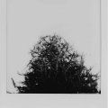 0013