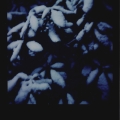 0017