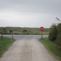 nowyjork_2008_215