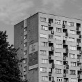 DSC_6966