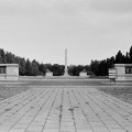 IMG_5635